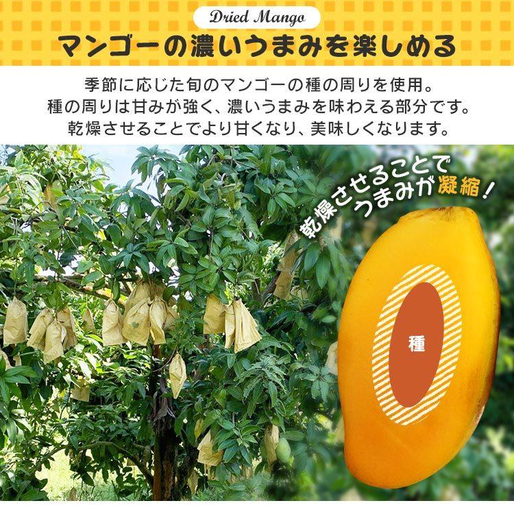 ドライマンゴー 500g 不揃い タイ産 食物繊維 ドライフルーツ マンゴー 端っこ スイーツ 保存食 非常食 ふぞろい メール便