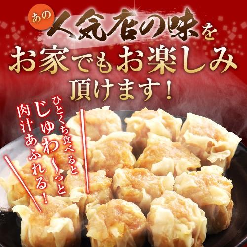 送料無料 焼売＆特製生餃子のセット 冷凍　業務用 大容量 たっぷり 時短 お手軽 簡単 餃子計画　大阪 浪花