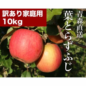 RED APPLE 青森直送 12月上旬より順次出荷 葉とらずふじ 訳あり家庭用 約10kg りんご 林檎 果物 フルーツ ギフト 旬