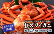 日本海沖産 紅ズワイガニ600g前後×2匹 約1.2kg 冷凍