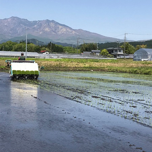 令和5年度産 ゆうだい21 玄米10kg(5kg×2袋)｜数量限定 お米 国産 日光産 産地直送 [0314]