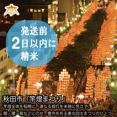 ふるさと納税 秋田市 秋田市産ひとめぼれ10kgと秋田県産ササニシキ3kg