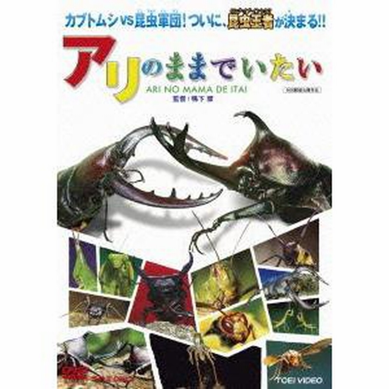  アリのままでいたい／（ドキュメンタリー）,鴨下潔（監督）,菅野祐悟（音楽）