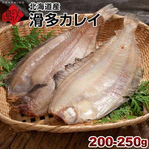 カレイ 北海道産 滑多鰈(なめたかれい)200-250g 旨さの秘密は自慢の昆布干物 北海道 お土産 お取り寄せ 食品 食べ物 魚 高級