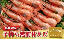 [011-a003] 福井の味！子持ち越前甘えび！船内凍結 約500g 冷凍 甘海老