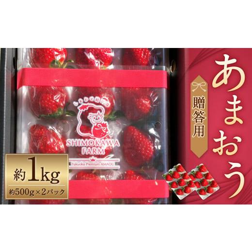 ふるさと納税 福岡県 筑後市 あまおう 贈答用 約1kg（約500g×2パック） いちご 果物 フルーツ 福岡県産