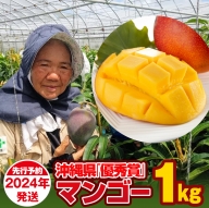 芳醇な香り　とろける食感　沖縄県「優秀賞」マンゴー1kg