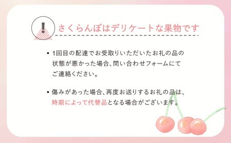 先行予約 さくらんぼ 佐藤錦 秀Mサイズ バラ詰め 1.2kg(600g×2箱) 2024年産 令和6年産 山形県産 ns-snsmb1200