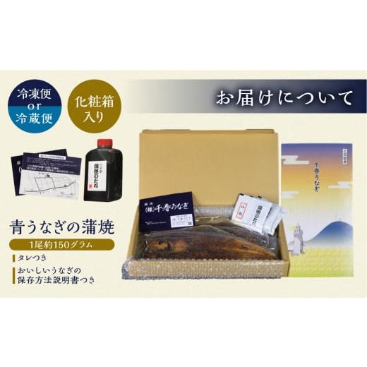 ふるさと納税 愛知県 田原市 厳選 高級 青うなぎ 10尾 蒲焼 1500g