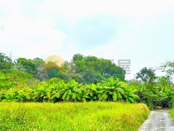 (專)左鎮光和2.7分優質方正農保地｜台南市左鎮區光和