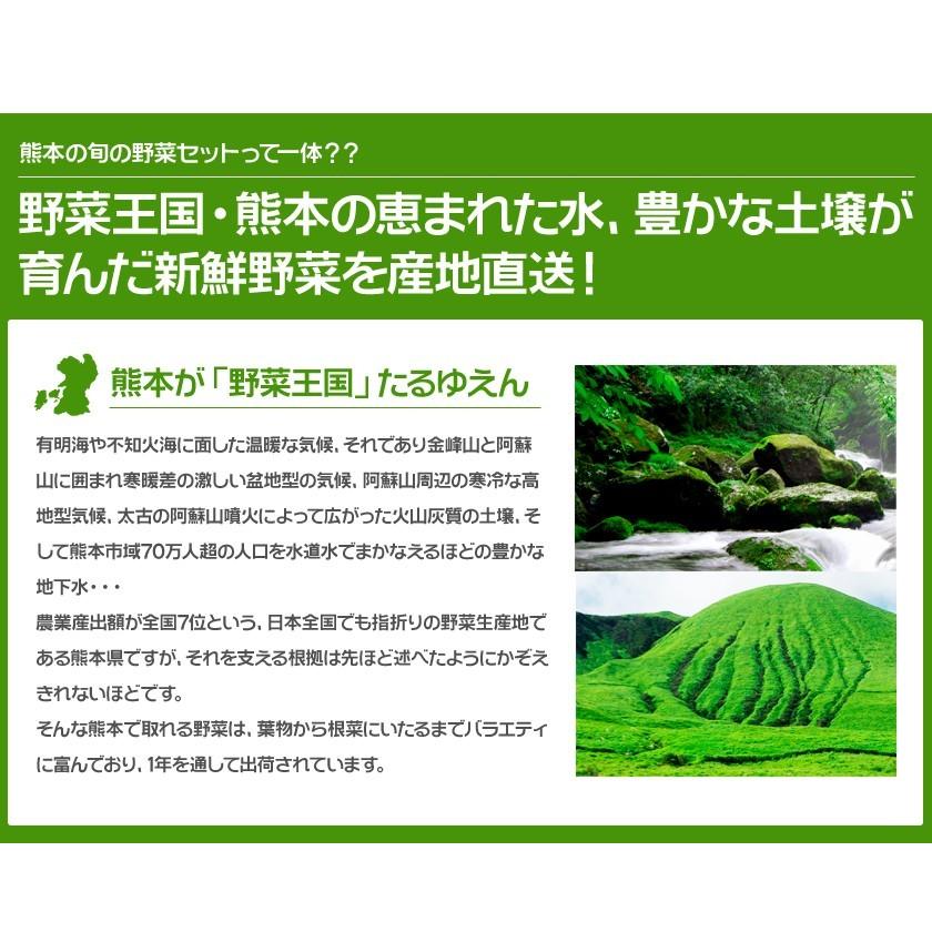 自家用 野菜セット たっぷり12品目 送料無料 熊本 九州 の安心安全 旬野菜 7-14営業日以内に出荷予定(土日祝日除く)