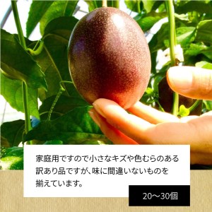 奄美のパッションフルーツ家庭用2kg パッションフルーツ 2024 先行予約 2kg 奄美産 農家直送 果物 ビタミン 葉酸 トロピカルフルーツ 南国フルーツ