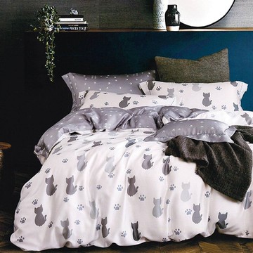 Saint Rose頂級精緻100%天絲兩用被床包組(包覆高度35CM)-仰星星 加大