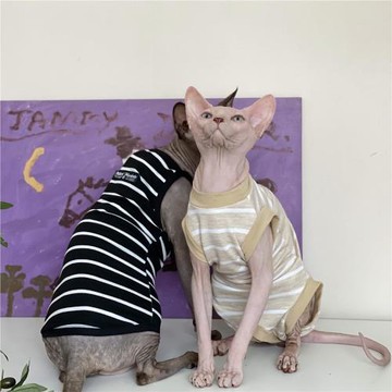 無毛貓衣服夏季薄款吊帶純棉護肚四腳空調房斯芬克斯德文貓衣服