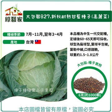 【綠藝家】大包裝B27.新秋耐熱甘藍種子(高麗菜)6克(約1000顆)