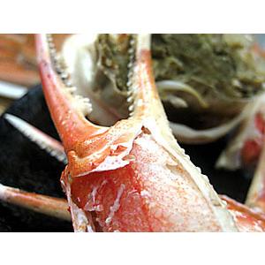 北海 松葉ガニ 1kg  (ズワイガニ) 大 2尾(ボイル)計1.0キロ 越前蟹や松葉ガニ 加能がにと呼ばれるずわいがに 解凍してすぐに食べれる松葉蟹
