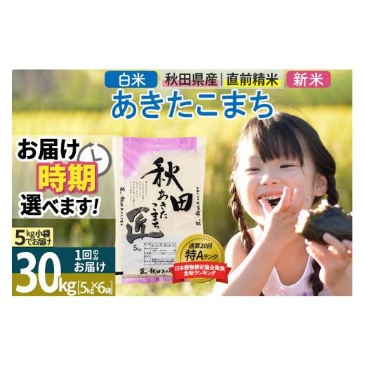 ふるさと納税 秋田県 仙北市 ＜新米＞ 秋田県産 あきたこまち 30kg (5kg×6袋) 令和5年産 時期選べる 30キロ お米 発送時期が選べる