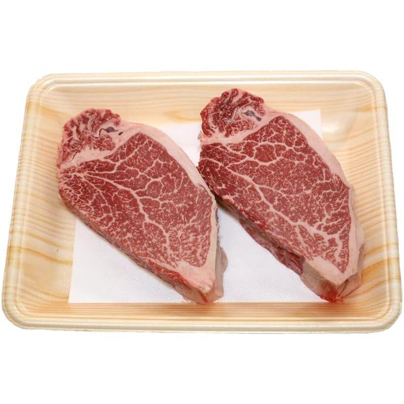 壱岐牛 ステーキ用 ヒレ 500g 高級牛肉