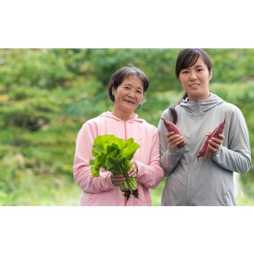 ふるさと納税 岩手県 北上市 収穫したての新鮮野菜！オーガニック野菜セット 6~8品