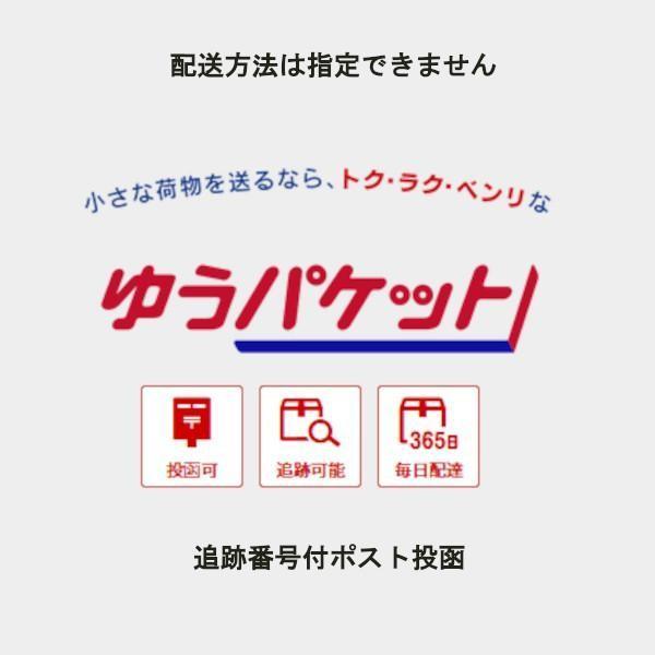 PLGST 5-1.5 Pカラー LGトップガイド SICリング FUJI 富士工業 ロッド