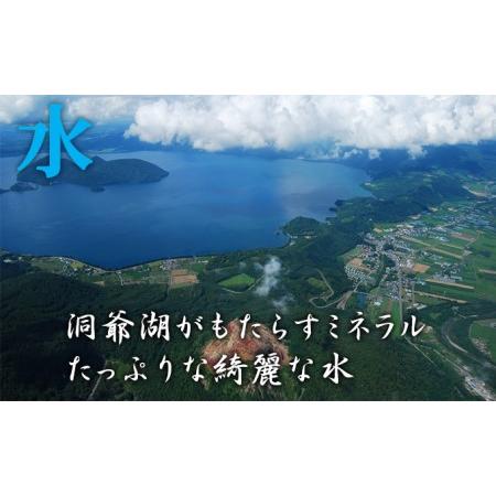 ふるさと納税 北海道壮瞥産　ななつぼし 5kg×4袋　計20kg 北海道壮瞥町