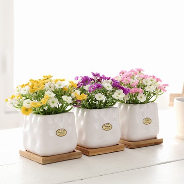 Happy Village 人造酢漿草盆栽組  3組