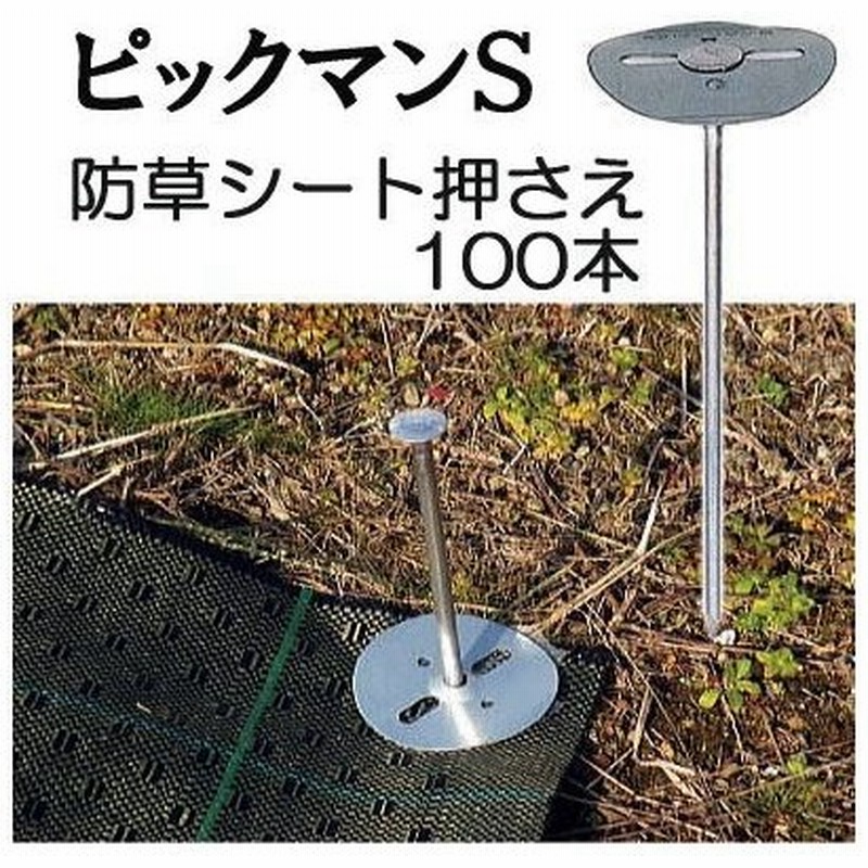お買得!】 GS 防草補修テープ 10枚入 7226 qdtek.vn お買得!】 GS 防草補修テープ 10枚入 7226 qdtek.vn