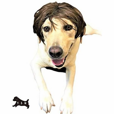 面白い変装の通販 951件の検索結果 Lineショッピング