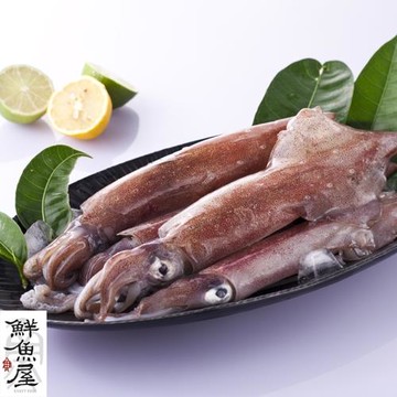 鮮魚屋 極鮮活體船凍透抽5包(600g/包)