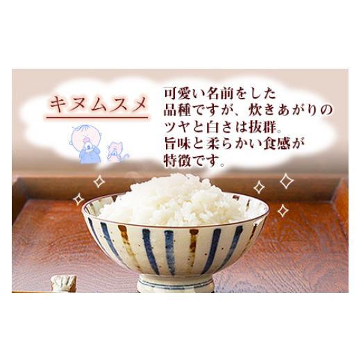 ふるさと納税 宮崎県 高鍋町 ＜令和5年度新米 特別栽培米「粋」キヌムスメ 5kg＞※入金確認後、翌月末迄に順次出荷します。