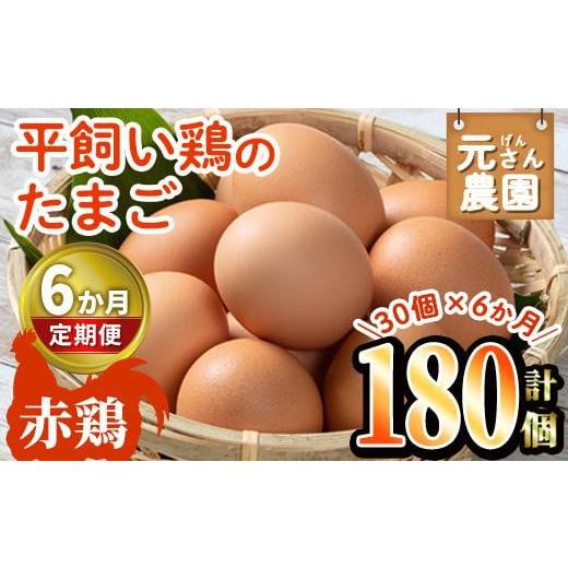 ふるさと納税 大分県 佐伯市 ＜定期便・全6回 (連続)＞平飼い赤鶏のたまご (総量180個・S-Mサイズ30個×6回) 元さん農園