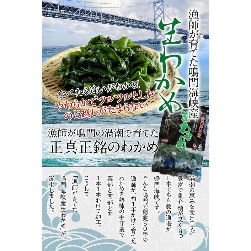 生産者直送 国産 徳島県 鳴門海峡 塩蔵 生わかめ 500g