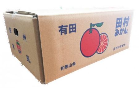 みかん 蜜柑 フルーツ 果物 くだもの 田村 高級   高級ブランド田村みかん 10kg 大玉サイズ 