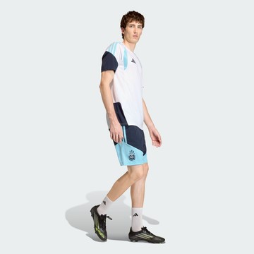 adidas 世界盃 阿根廷 運動短褲 吸濕排汗 男 JY7031