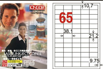 【龍德】LD-806-T-C A4透明護貝膜標籤(不可列印) 21.2x38.1mm【APP滿額下單10%點數(單一帳號最高1000點)】4/30止