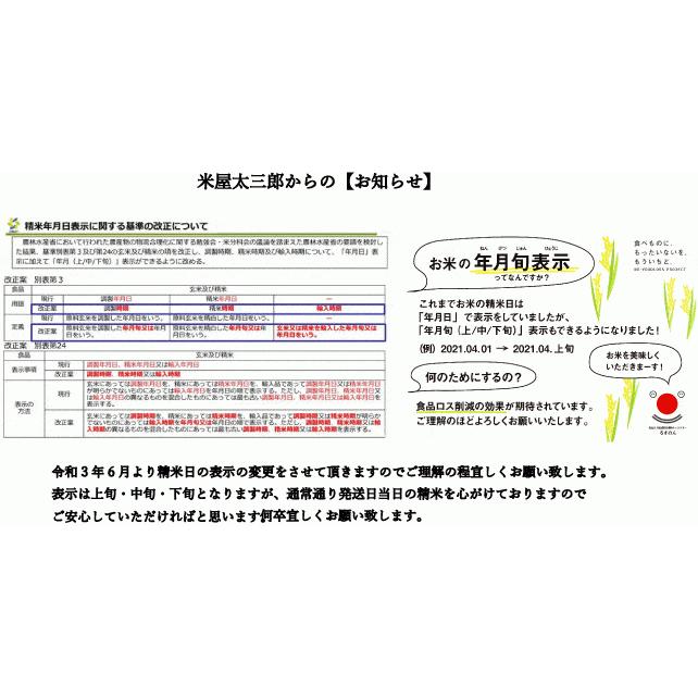 米 お米 米20kg  新米 天のつぶ 白米20kg 5kgx4袋 令和5年福島県産