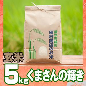 5年産　熊本県産くまさんの輝き玄米5kg（調整済み）