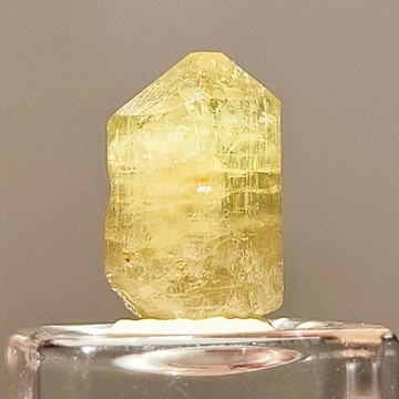 巴西天然磷輝石小原柱｜罕見蜂蜜黃．原礦結晶能量穩定｜安定心神・提升意志力・能量導流．收藏推薦