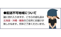 ピオーネと翠峰の夏のおまかせセット約200g×4パック※2023年8月下旬～9月下旬頃順次発送