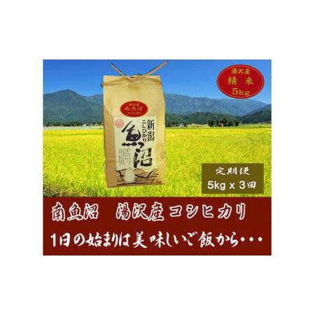 ふるさと納税 令和5年産 湯沢産コシヒカリ＜精米＞（白米）5kg 精米したてのお米をお届け 新潟県湯沢町