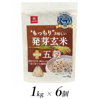 ふるさと納税 南アルプス市 はくばくのもっちり美味しい発芽玄米 五穀　1kg×6個