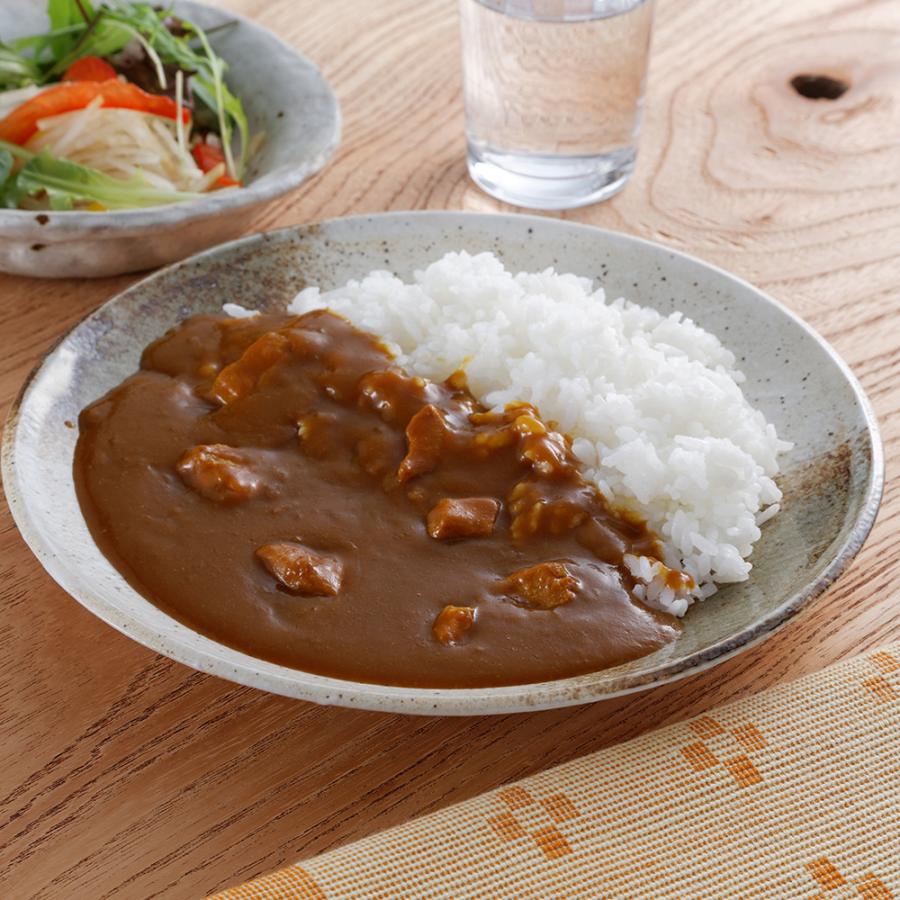 福岡 博多The伽哩 計6個 カレー ビーフ チキン お取り寄せ 通販 お土産 お祝い プレゼント ギフト おすすめ