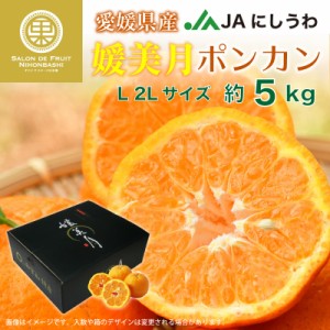 [予約 2024年1月15日-2月15日の納品] 媛美月 ポンカン 約5kg L 2L JAにしうわ 愛媛県西宇和産 産地箱 八協共選