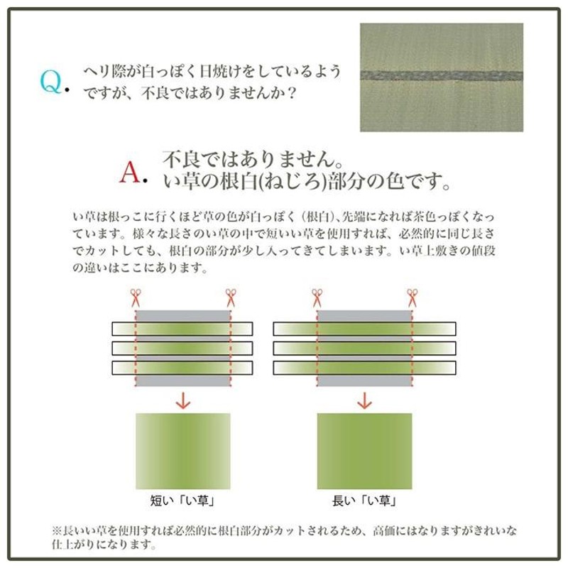 191×250cm】日本製 い草ラグ 国産 3畳 自然素材 長方形 ナチュラル