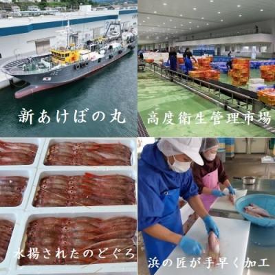 ふるさと納税 浜田市 山陰浜田港あけぼの丸と浜の匠の贈る高級のどぐろ一夜干し3枚セット