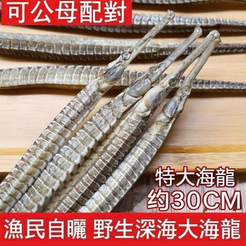 特大海龍乾貨 正宗六角海龍30cm新鮮幹貨正品六角海龍海鮮幹貨海産無硫男性煲湯泡酒
