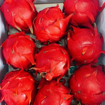 【帕查嬤嬤】🇹🇼紅肉 火龍果 6顆組😋｜台灣夏季水果