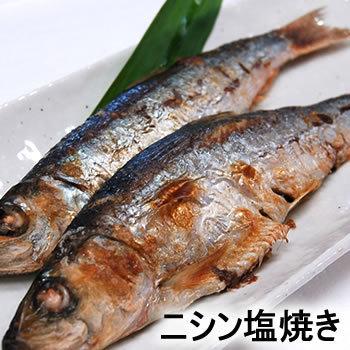 ニシン（生冷凍）超特大　１尾入（浜坂産）今回は白子入りのみとなっております（にしん、鰊）