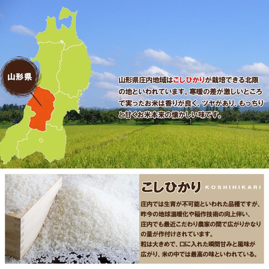 令和5年産 新米 送料無料 山形県産 特別栽培米 コシヒカリ 白米 5kg 安全で確かなものを食卓へ 5キロ 五キロ お米 おこめ