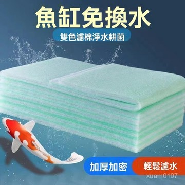 🔥臺灣24H🔥魚缸過濾棉綠棉高密度上濾棉片過濾材料凈水加厚白海棉超厚綠白棉 AIZW